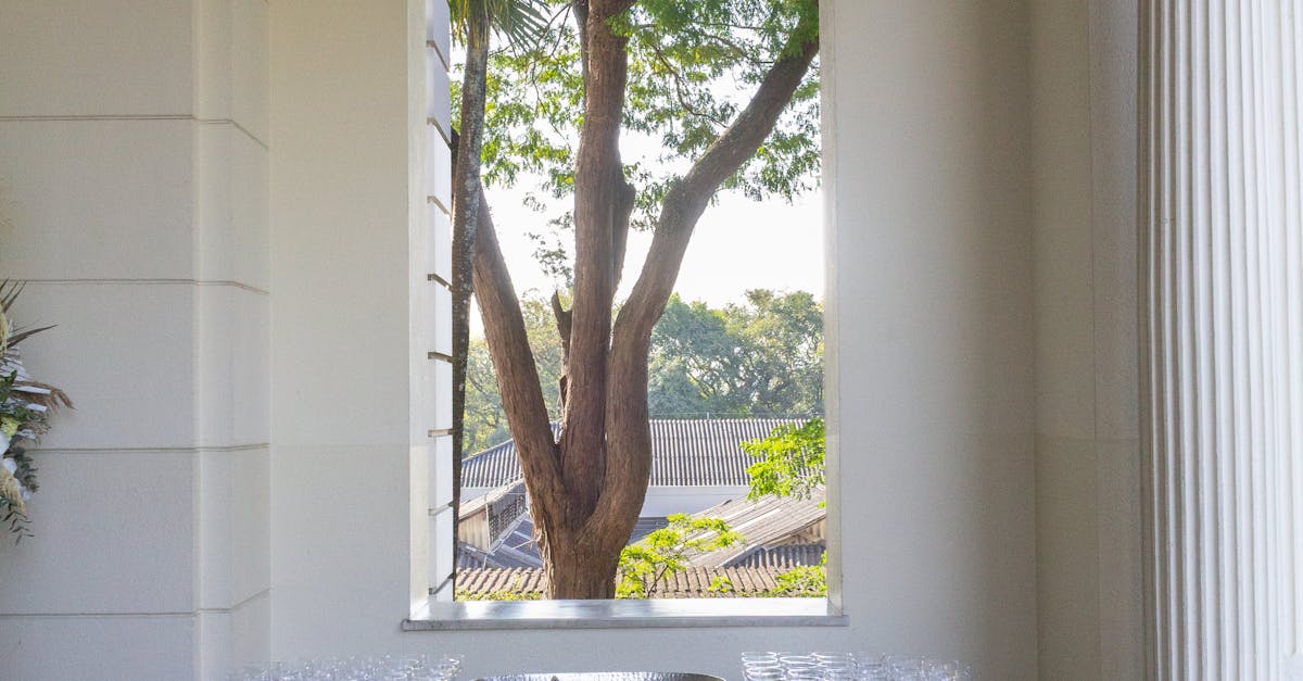 Miniature Savoury Pies: A Unique Canapé Choice for Newcastle Weddings