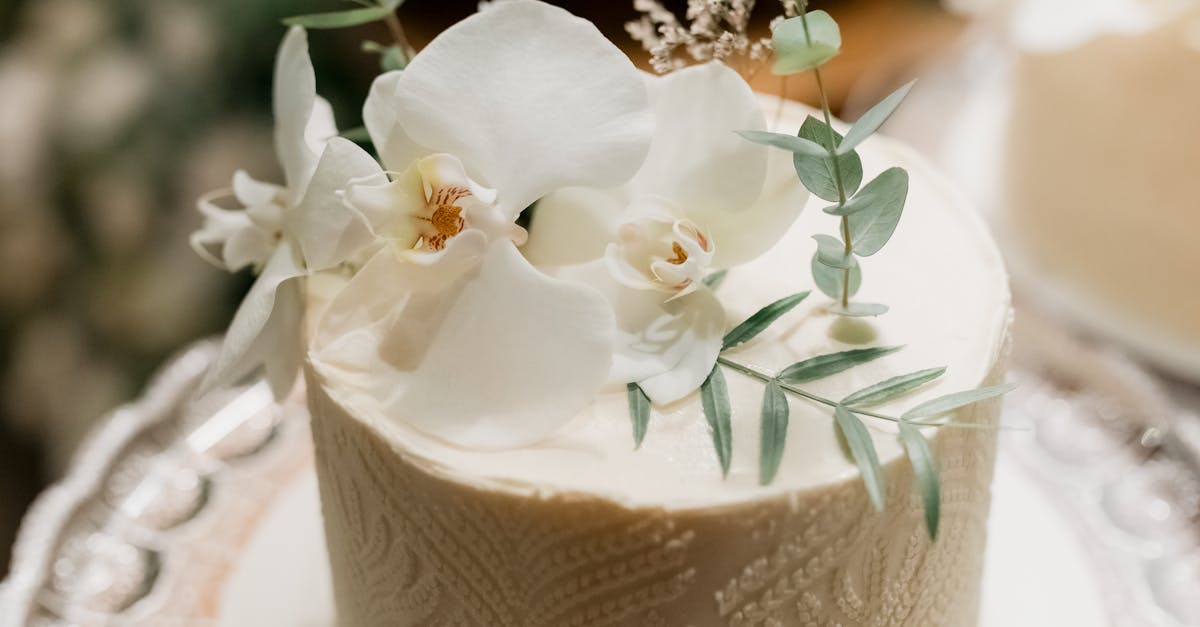 Outdoor vs Indoor Venues: Catering Implications