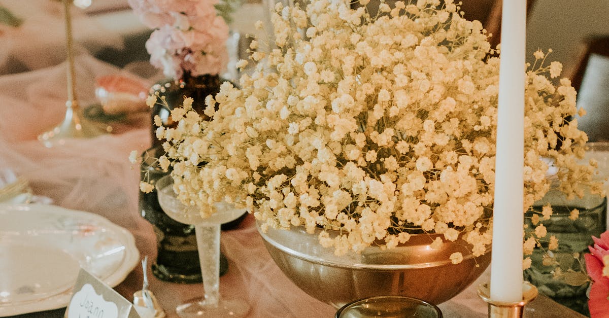 Tips for Saving Money on Wedding Catering Services